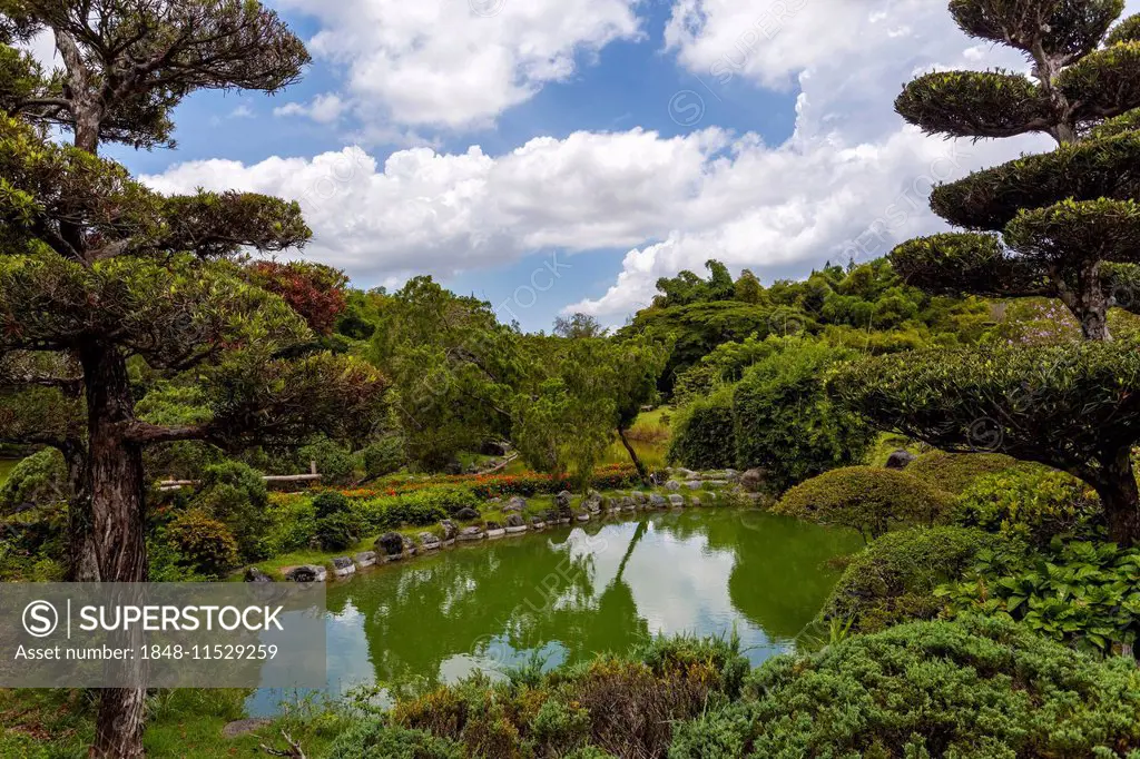 Lake in the Japanese Garden at the Jardin Botanico National Dr. Rafael María Moscoso, National Botanical garden, Santo Domingo, Hispaniola Island, Gre...