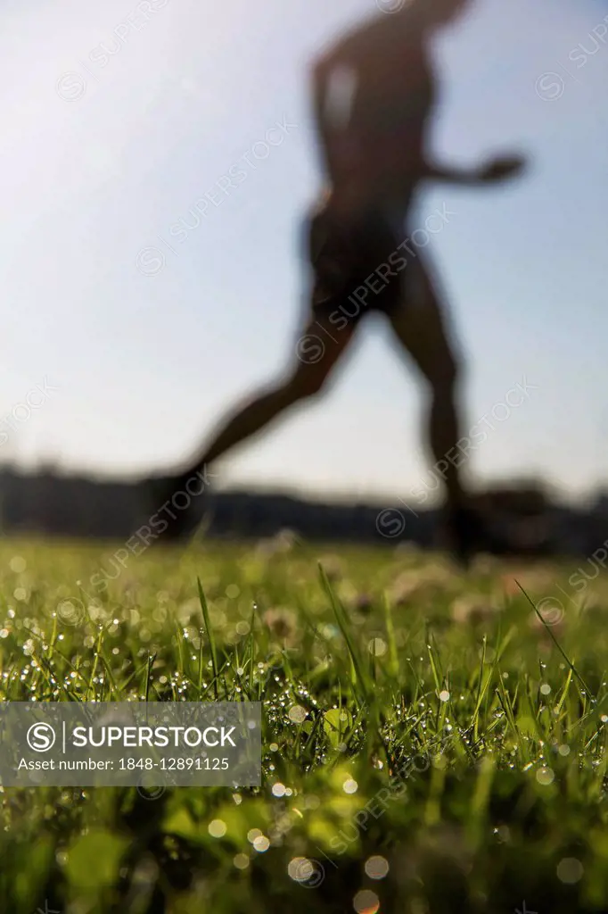 Jogger running in grass, dewdrops, Germany