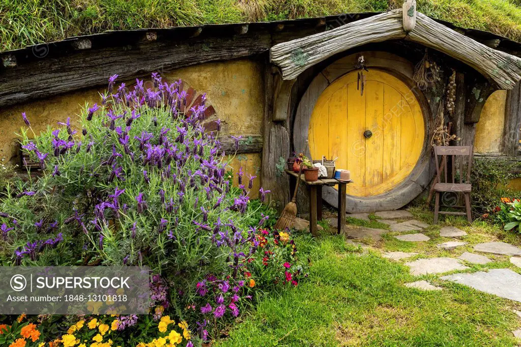 Hobbit-hole in Hobbiton, location of the Lord of the Rings and The Hobbit film trilogy, Hinuera, Matamata, North Island, New Zealand