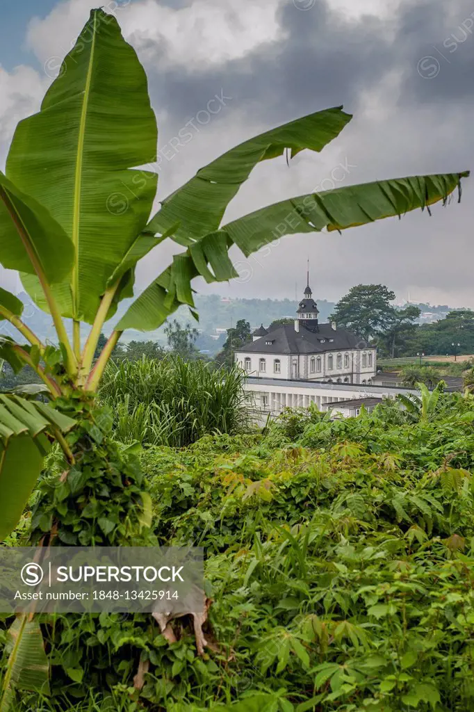 Villa Puttkamer, Governor's Palace, former residence of Jesko von Puttkamer, Buea, Southwest Region, Cameroon