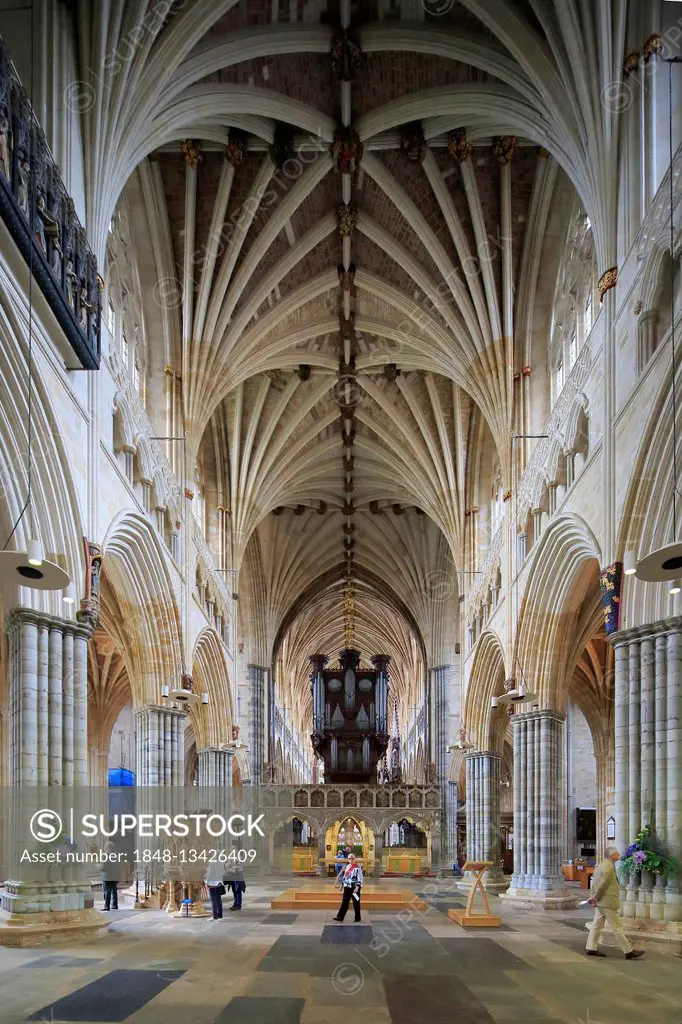 Nave, The Cathedral Church of St Peter, Exeter, Devon, England, United Kingdom