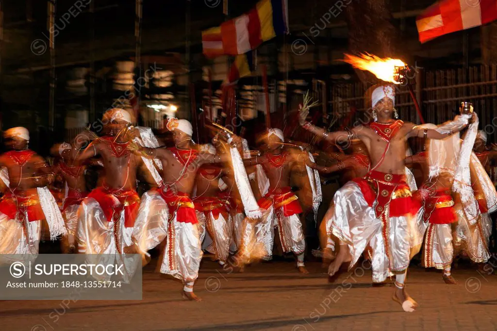 Dance troupe, Kandy Dancers in traditional costumes, Esala Perahera Buddhist festival, Kandy, Central Province, Sri Lanka