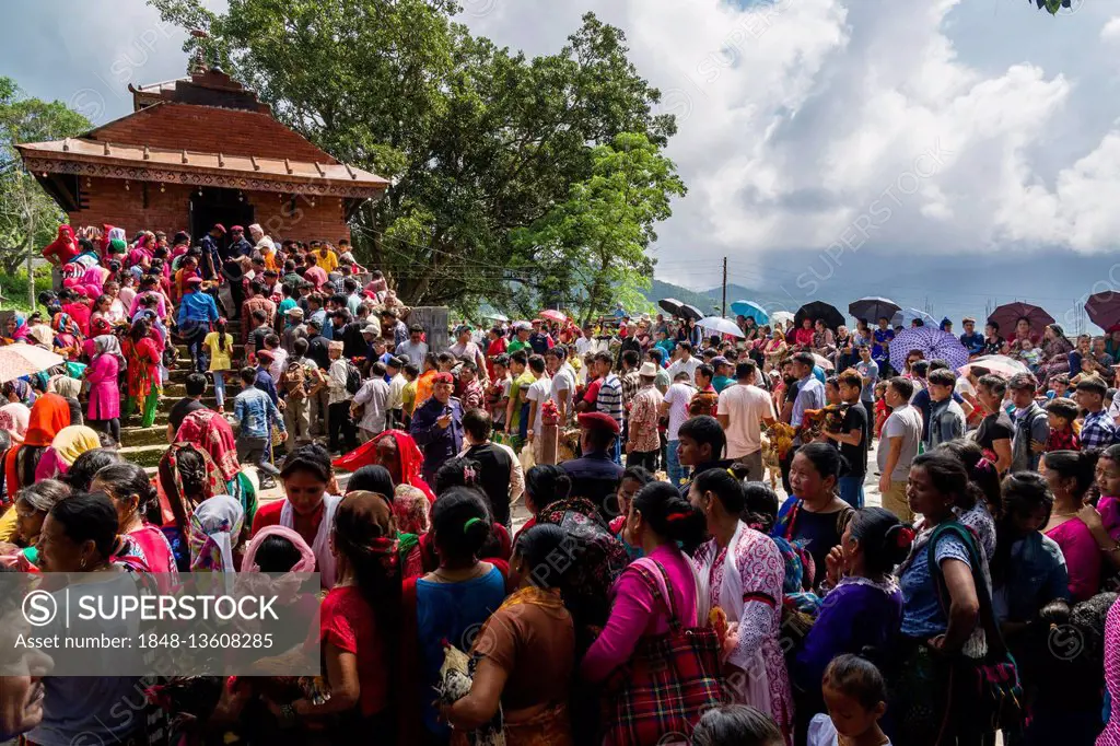 Local people waiting with roosters for sacrifice, The Khadga Devi Mandir Temple, Darsain Hindu Festival, Bandipur, Tanahun, Nepal