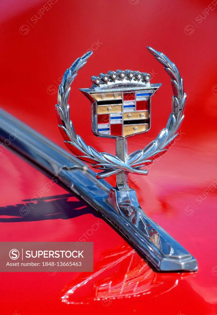 Hood ornament on Cadillac Cupe DeVille 1973