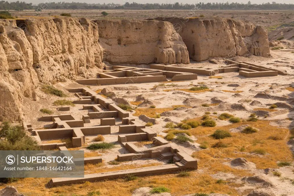 Apadana Castle, the Palace of Darius, Shush, Iran