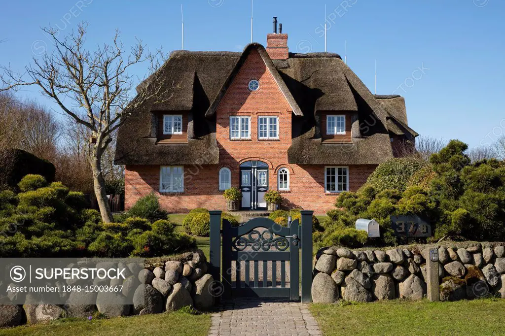 Typical Frisian house, thatched roof house, Keitum, Sylt, North Frisian Island, North Frisia, Schleswig-Holstein, Germany