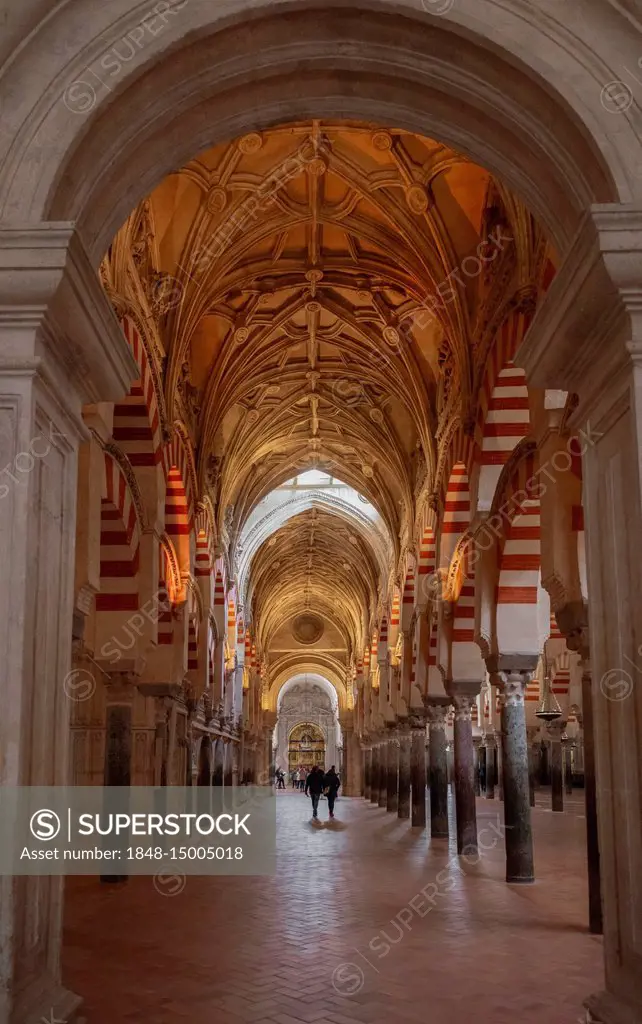 Columned hall with arches in Moorish style, prayer hall of the former mosque, Mezquita-Catedral de Córdoba or Cathedral of the Conception of Our Lady,...