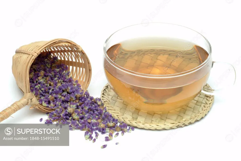 Herb tea made of lavender Lavendula officinalis, vulgaris, angustifolia