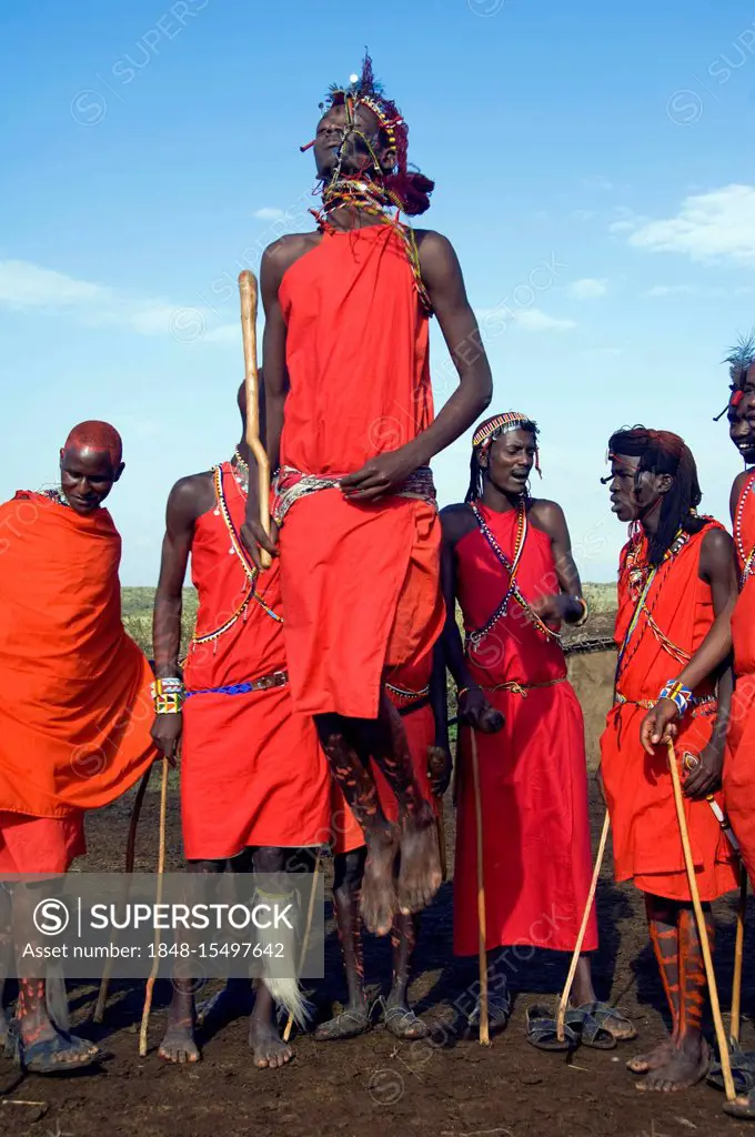 Tribal dance of the Masai warriors, Masai Mara, Kenya, East Africa