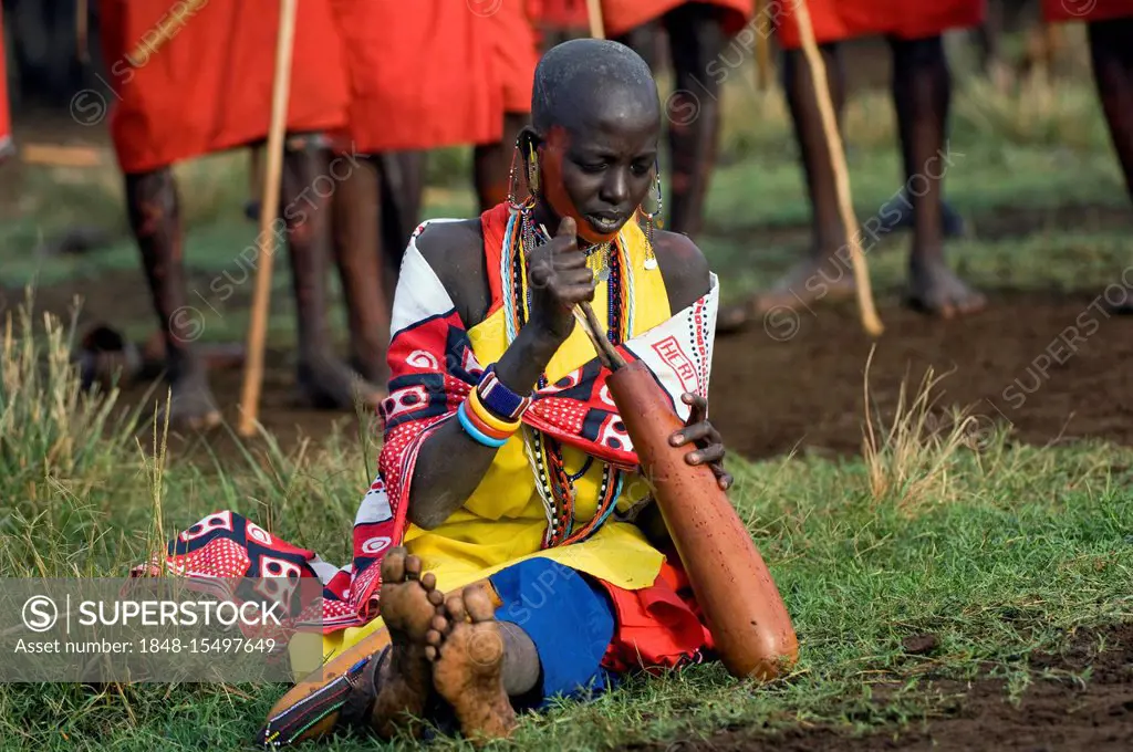 Masai woman preparing the traditional cow blood and milk beverage, Masai Mara, Kenya, East Africa