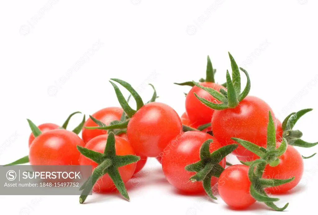 Cocktail tomatoes, cherry tomatoes