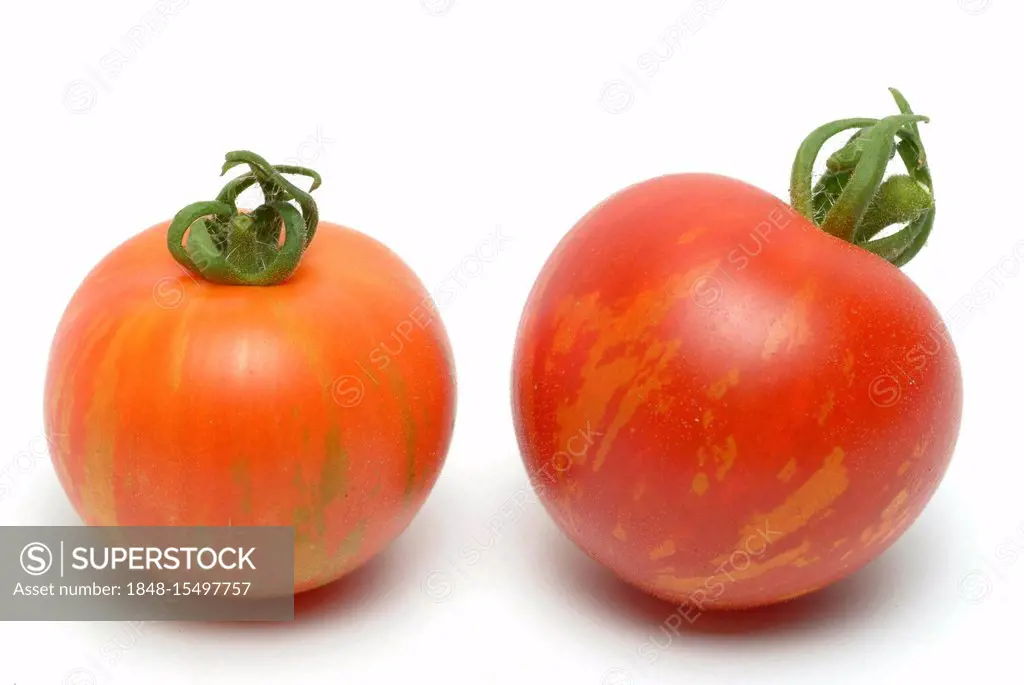 Tigerella tomatoes