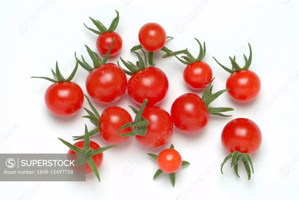 Cocktail tomatoes or cherry tomatoes