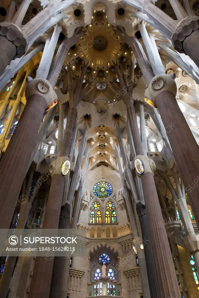 Vaulted ceiling, interior of the church Sagrada Familia, architect Antoni Gaudí, Barcelona, Catalonia, Spain, Europe