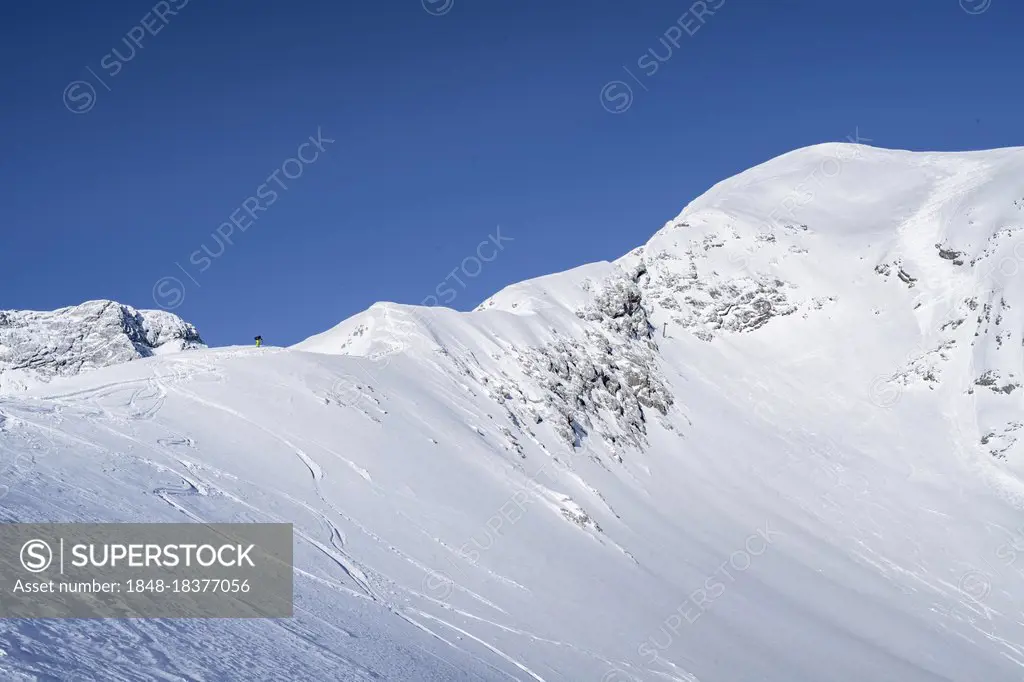 Alpspitz east degree, ski tourers on ski tour to the Alpspitze, Bernadeinkopf, view over the Wetterstein mountains with snow in winter, Garmisch-Parte...