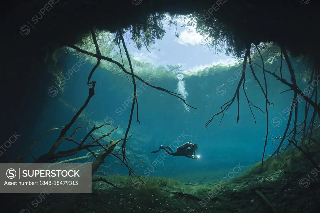 Diver in underwater cave, Cenote Aktun Ha, Yucatan Peninsula, underwater cave, Carwash, Mexico, Central America