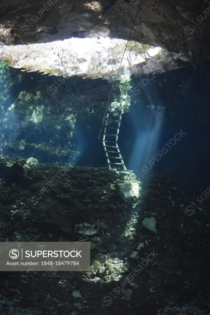 Gran Cenote underwater cave, Yucatan Peninsula, underwater cave, Mexico, Central America