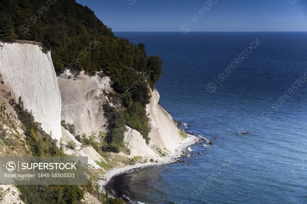 Chalk cliffs, chalk cliff coast on the Baltic Sea, Jasmund National Park, Rügen Island, Mecklenburg-Western Pomerania, Germany, Europe