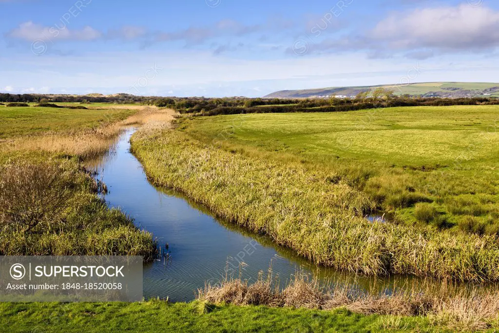 Flats Pill and Boundary Drain drainage ditches at Braunton Marsh, Braunton, Devon, England, United Kingdom, Europe