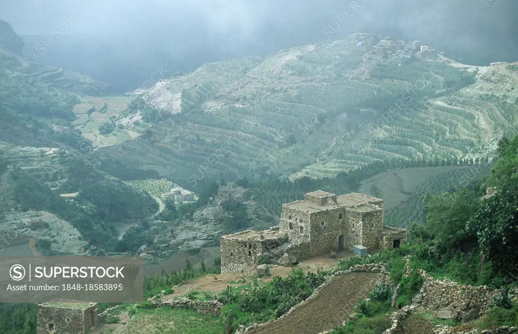 Farm house and terrace fields, Hajjarah, Yemen, Farm house and terrace fields, Hajjarah, Yemen, Asia