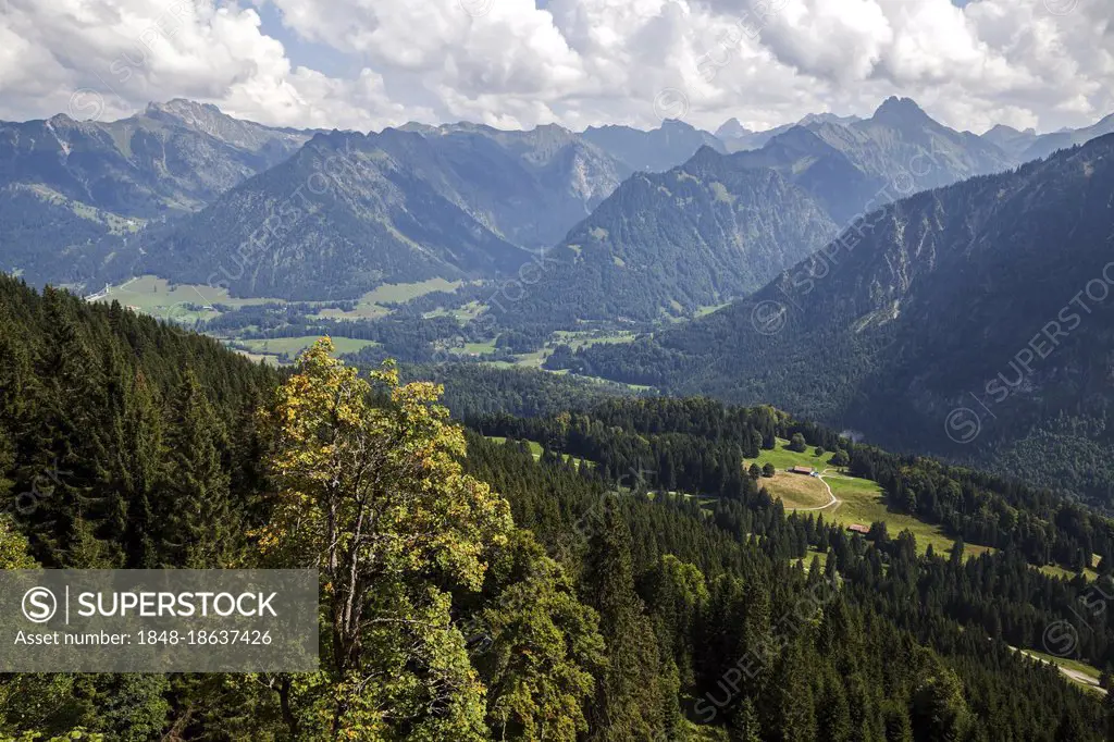 View from the hiking trail to the Söller-Alpe into the Stillachtal and the Allgäu Alps, behind, left Nebelhorn, behind right Höfats, Oberstdorf, Obera...