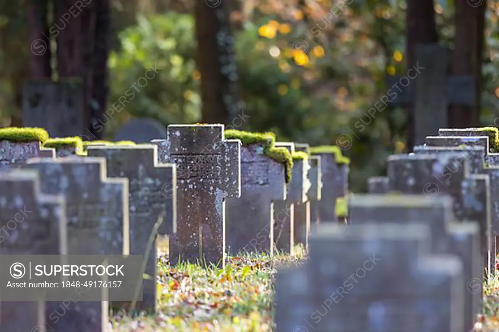 Cemetery for fallen soldiers of the world wars, symbolic photo for Remembrance Day. Stuttgart Forest Cemetery, Baden-Wuerttemberg, Germany, Europe