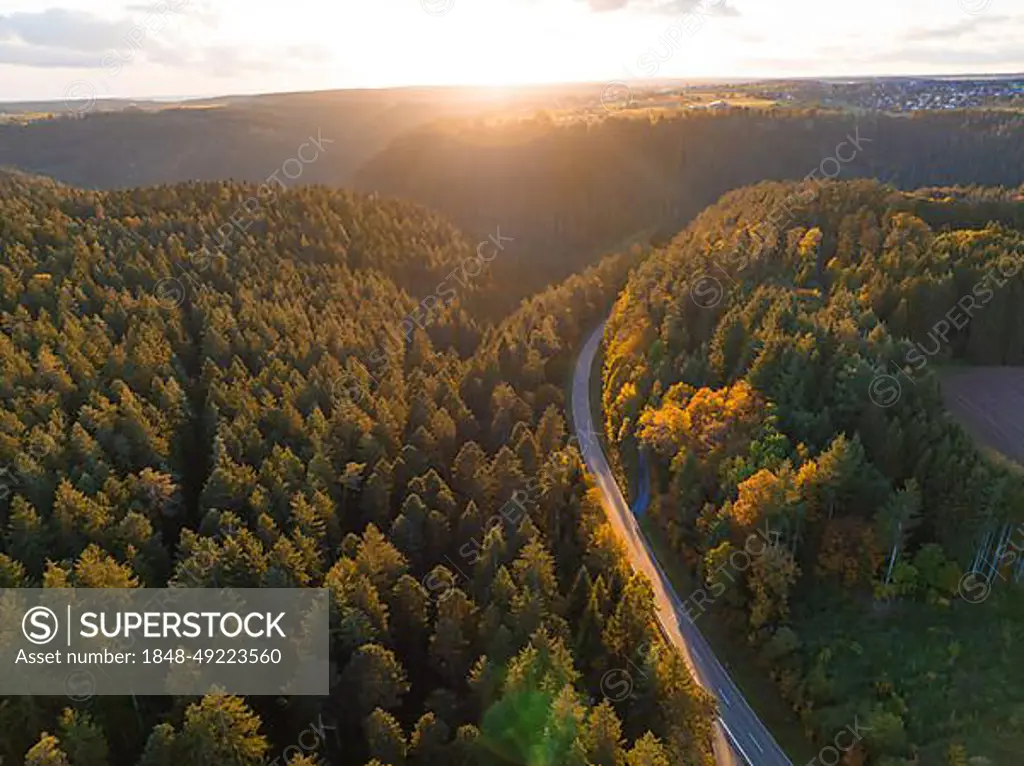 Road through the Black Forest at sunset, Holzbronn, Black Forest, Germany, Europe