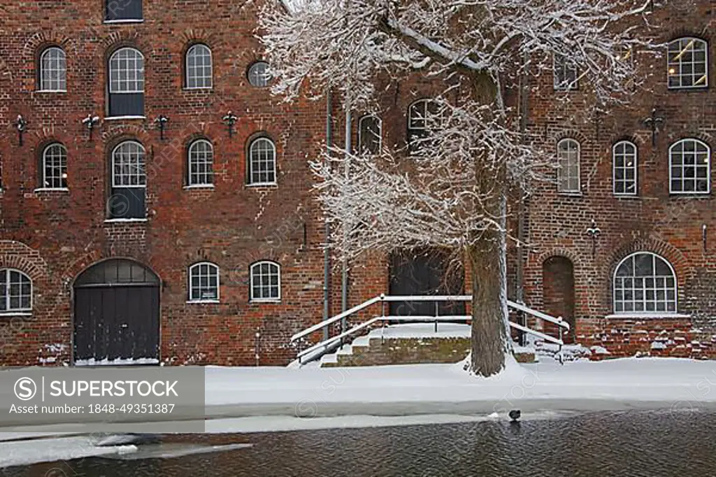 Historic salt warehouses in the snow in winter, Hanseatic city, Luebeck, Germany, Europe