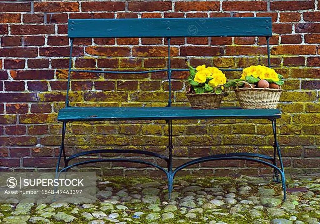 Garden Bench with Spring Flowers