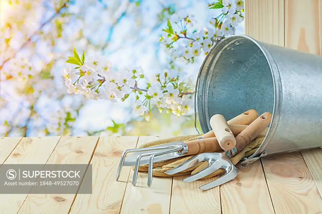 Agricultural composition garden hand tools in bucket on the table