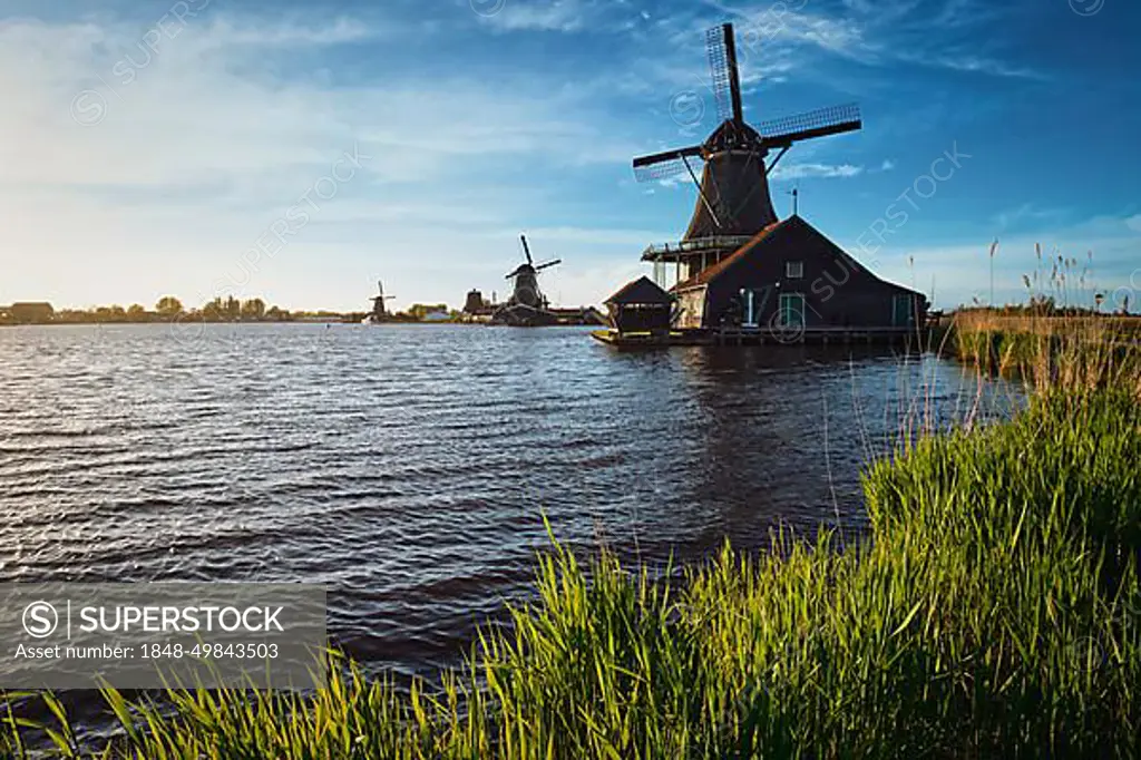 Windmills at famous tourist site Zaanse Schans in Holland on sunset. Zaandam, Netherlands