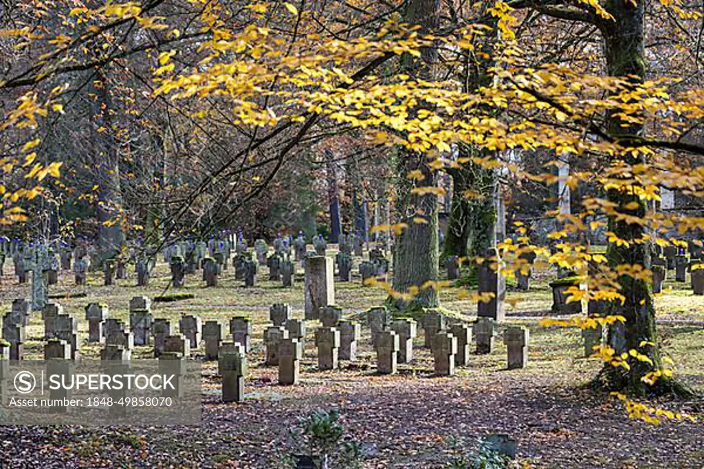 Cemetery for fallen soldiers of the world wars, symbolic photo for the days of remembrance in November. Stuttgart Forest Cemetery, Baden-Wuerttemberg, Germany, Europe