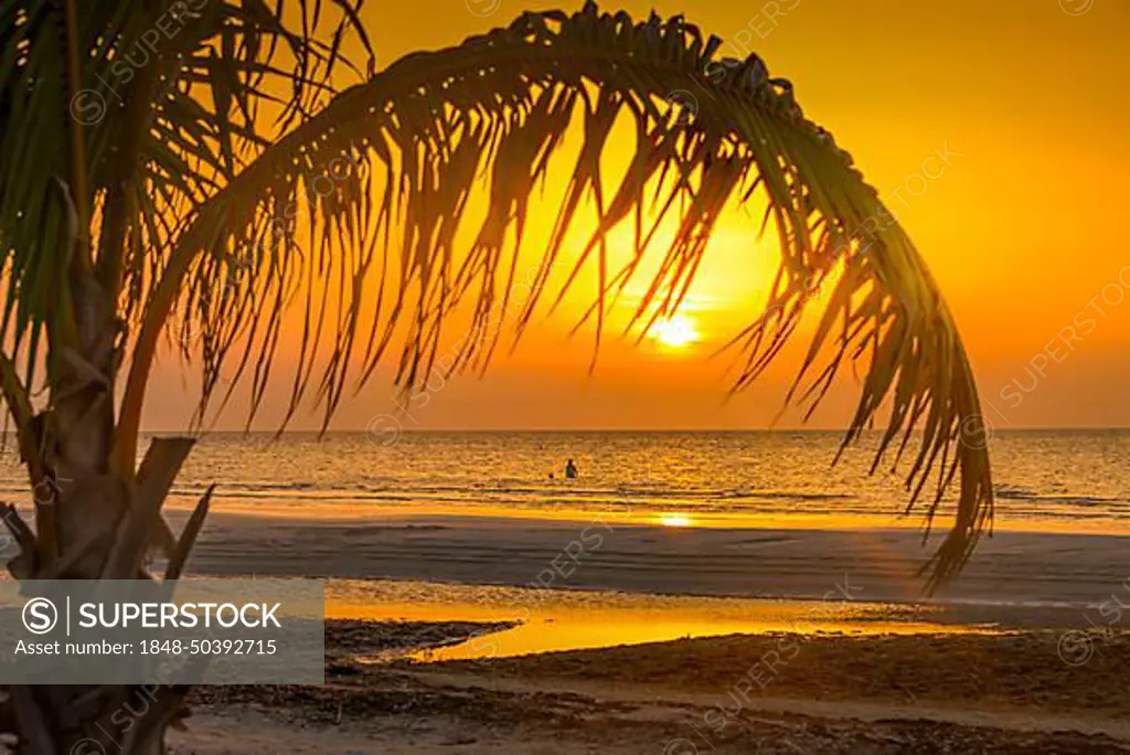 Palm Beach, Isla Holbox, Quintana Roo, Mexico, Central America