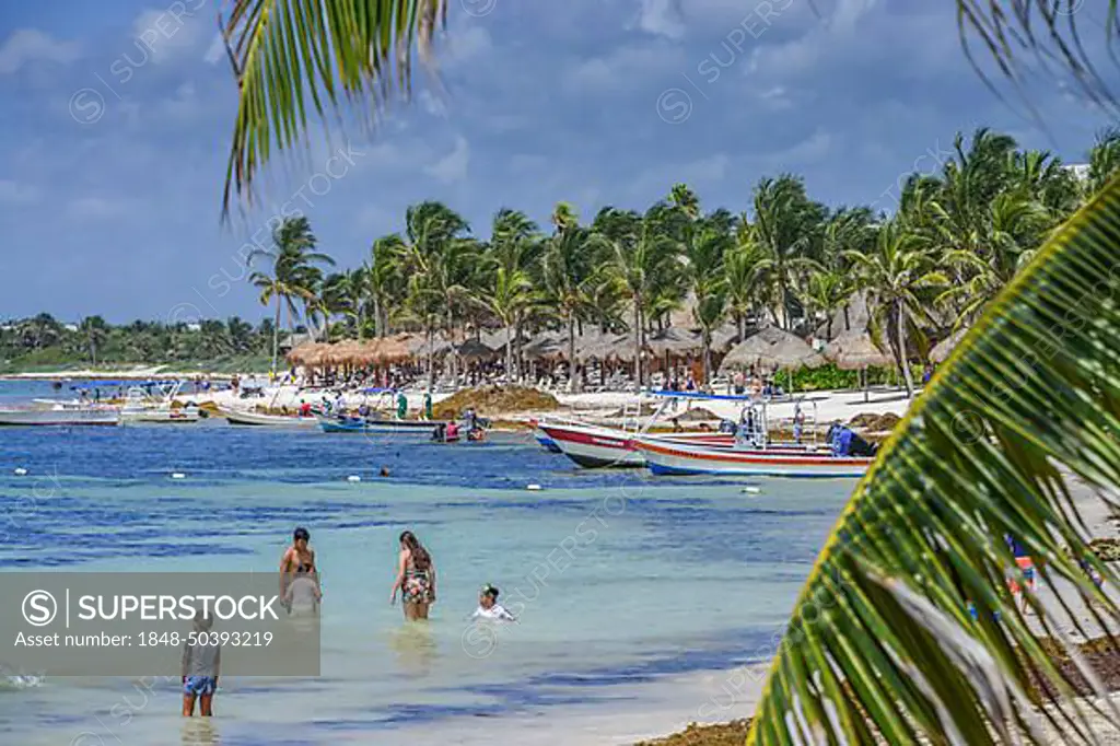 Sandy beach beach, boats, palm trees, Akumal, Quintana Roo, Mexico, Central America