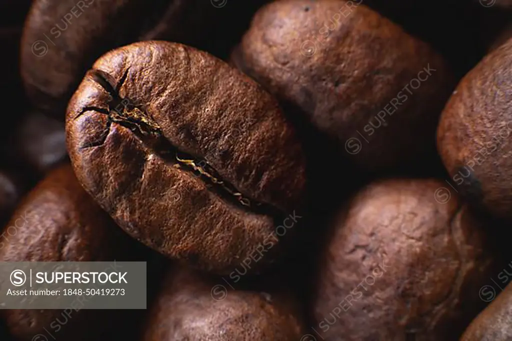 Close-up Coffee roasted beans. Extreme macro coffee background