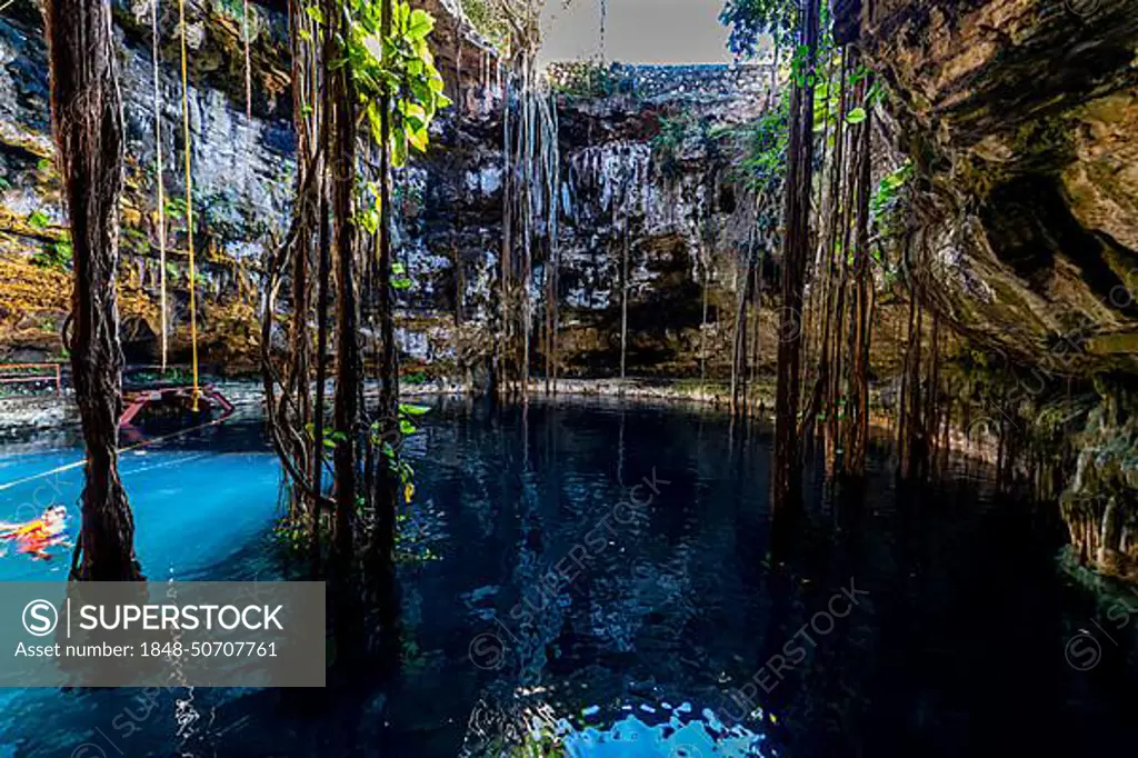 Cenote Oxman, Valladolid, Yucatan, Mexico, Central America