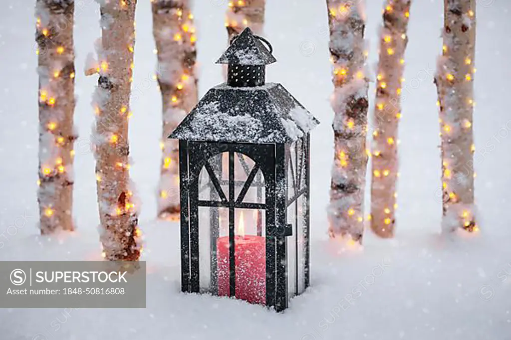 Lantern with illuminated birch logs outdoors