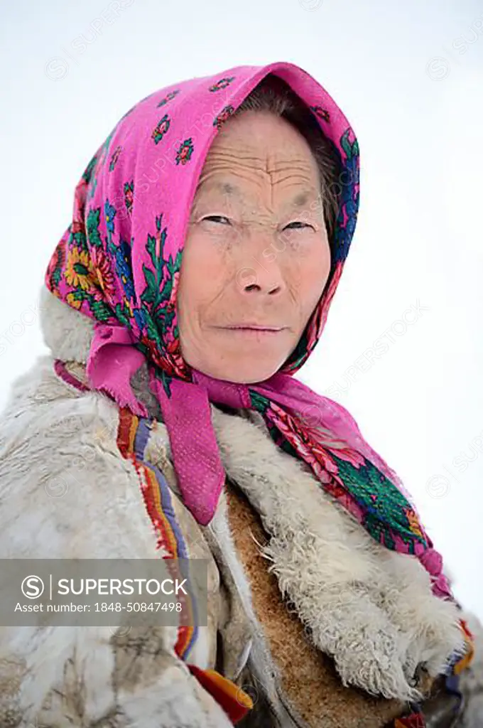 Tatiana Salinder, portrait of Nenets herder woman, Yar-Sale district, Yamal, Northwest Siberia, Russia, Europe