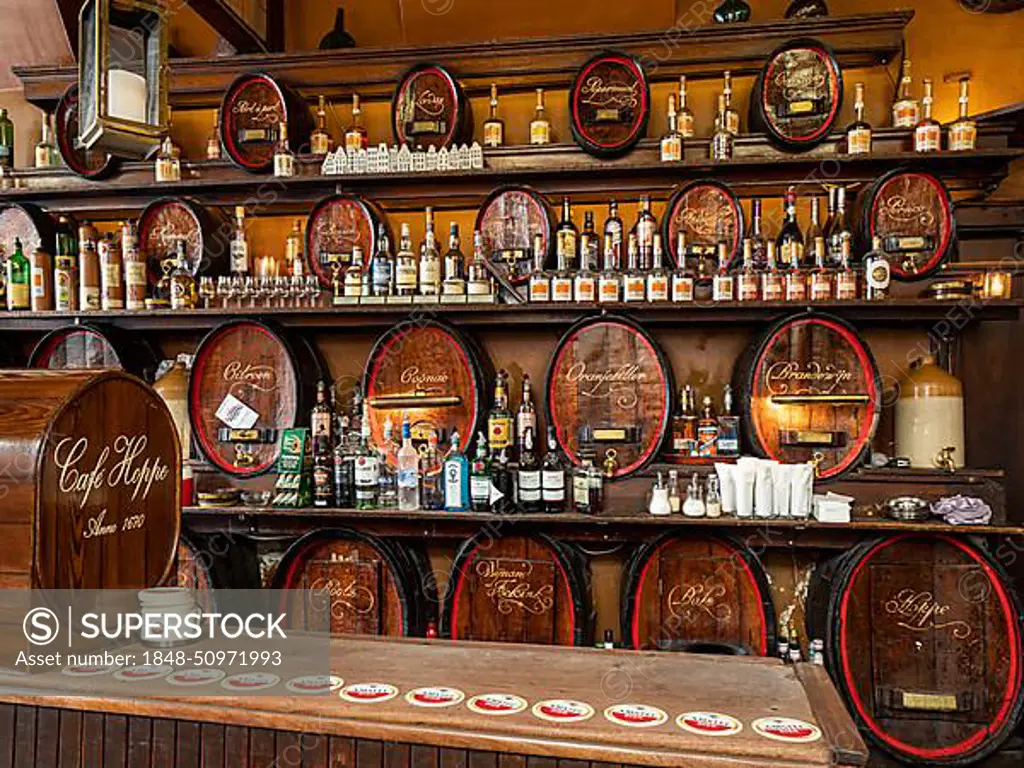 Counter with alcoholic beverages, interior of the traditional Cafe Hoppe, Spui, Amsterdam, Netherlands