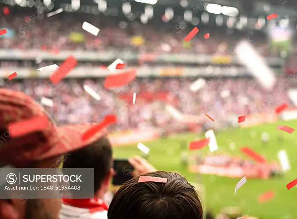 Fans in the stadium