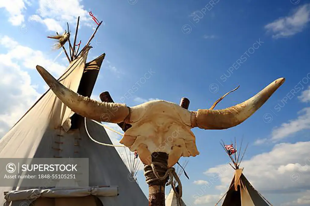 Indian tents in the foreground, the skeleton of a buffalo head, background blue sky and white clouds