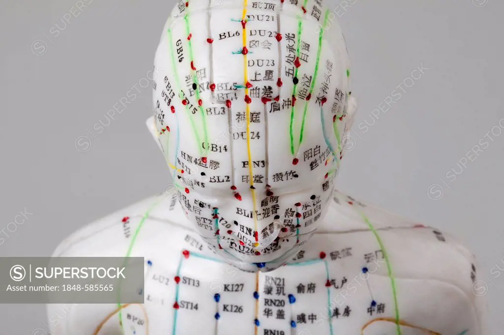 Acupuncture, a female model with marked acupuncture points labeled with Chinese characters on the meridians, detail head and torso, traditional Chines...