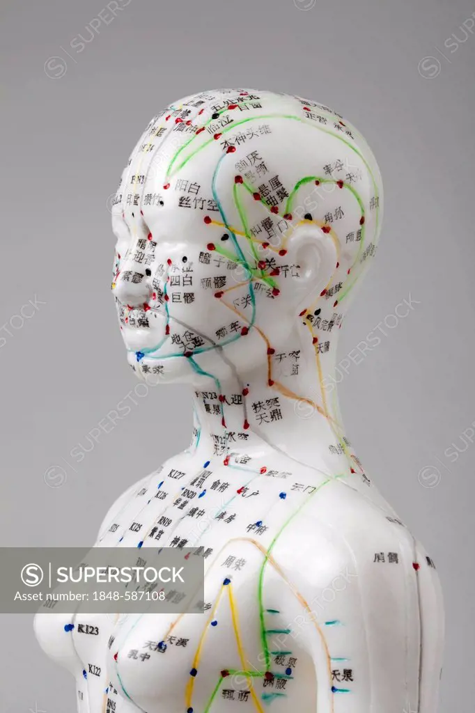 Acupuncture, a female model with marked acupuncture points labeled with Chinese characters on the meridians, detail head and torso, traditional Chines...