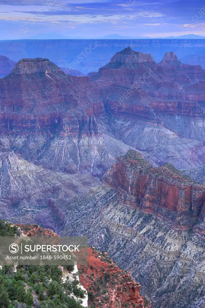 View from Bright Angel Point towards Deva Temple, Brahma Temple, Zoroaster Temple, Transept Canyon, evening mood, Grand Canyon National Park, North Ri...