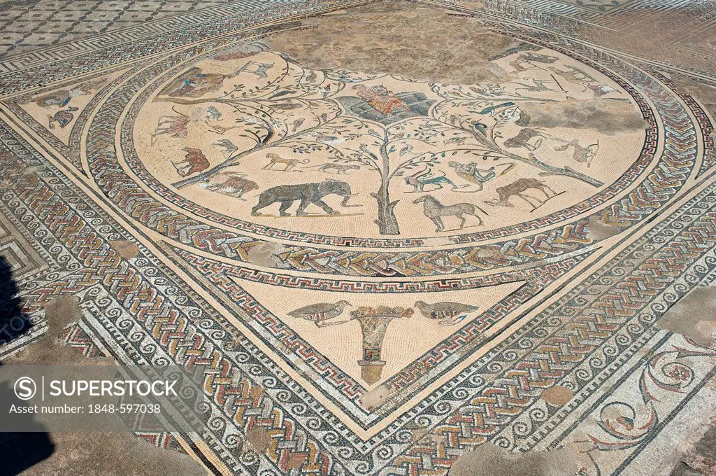 Ancient floor mosaic depicting Orpheus surrounded by animals, Roman ruins, ancient residential city of Volubilis, northern Morocco, Africa