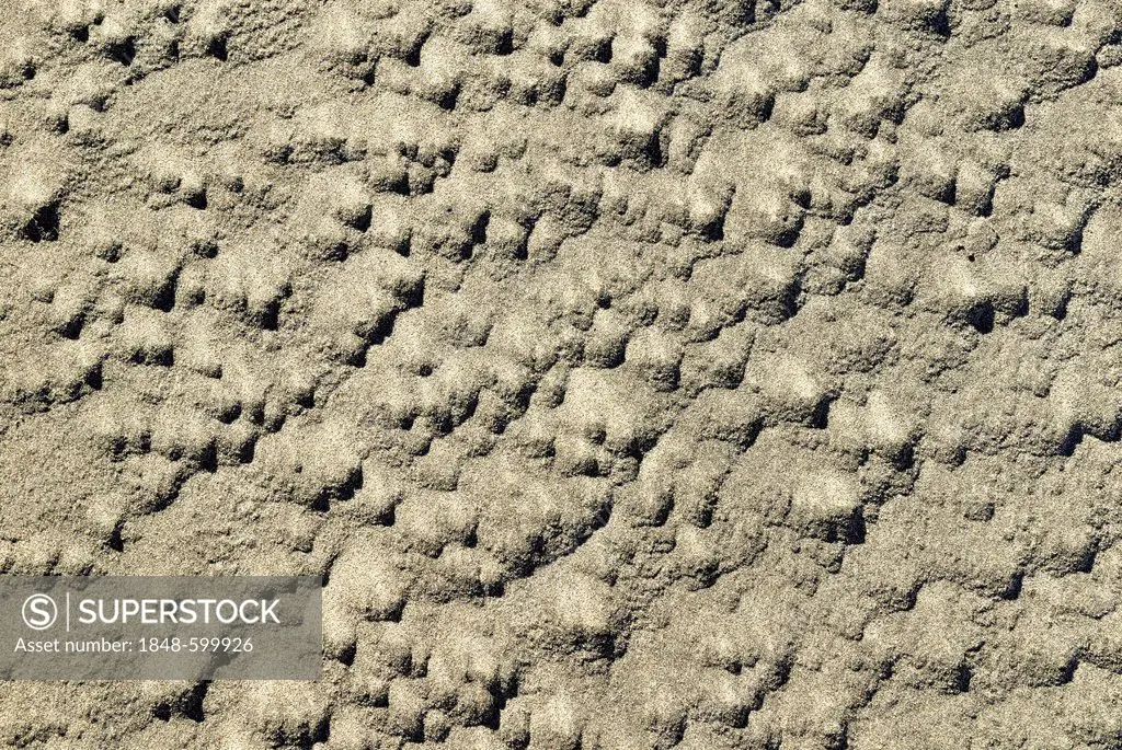 Sand structure, Farewell Spit Nature Reserve, Golden Bay, South Island, New Zealand