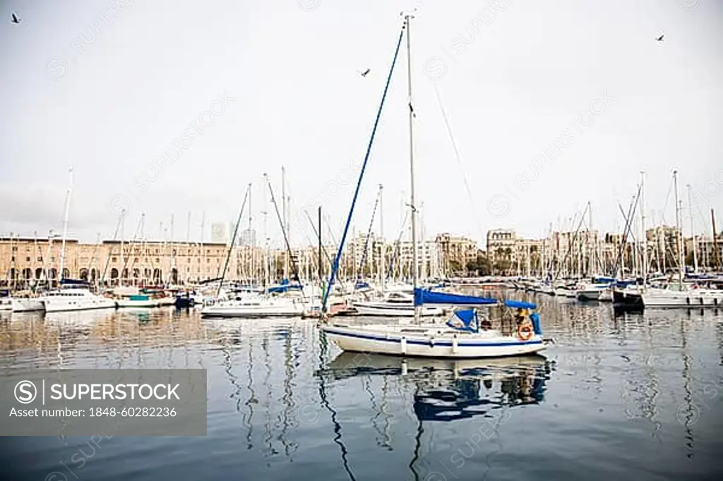 Barcelona Marina with town in the background, Spain, Europe