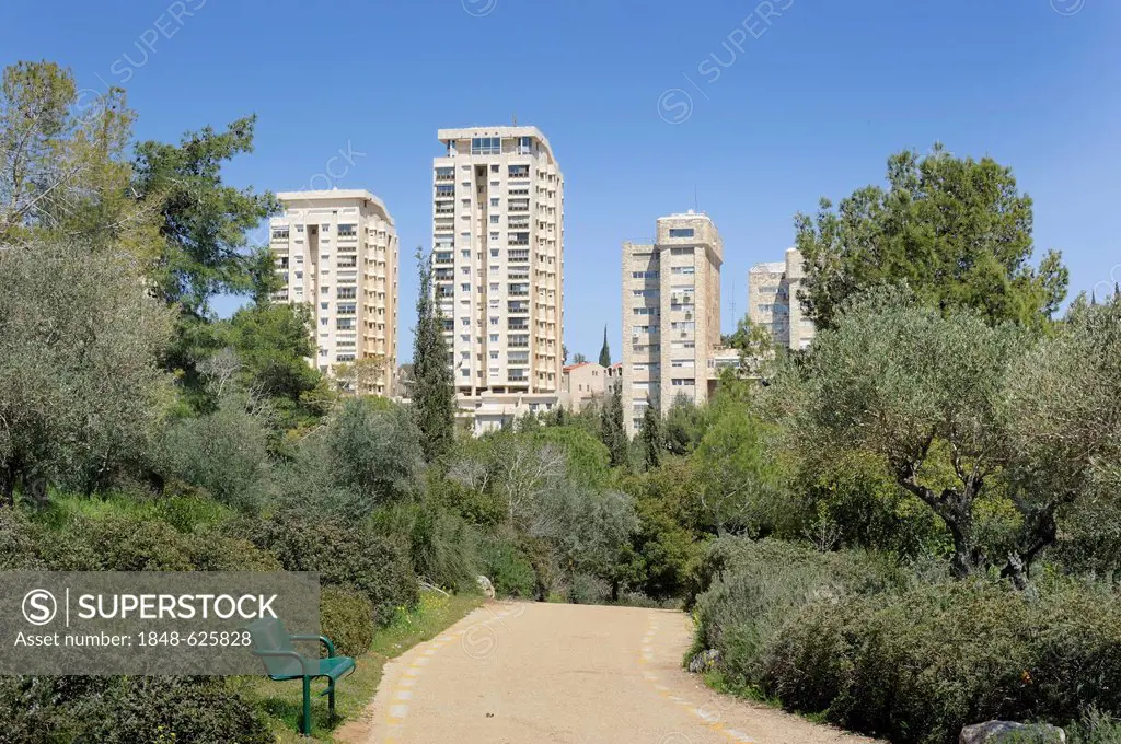 Residential skyscrapers, from Rehavia Park, West Jerusalem, Jerusalem, Israel, Middle East