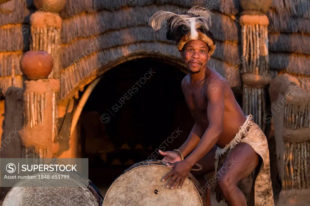 Zulu man in traditional costume playing the drums, film set of Shakazulu, Shakaland, KwaZulu-Natal, South Africa, Africa