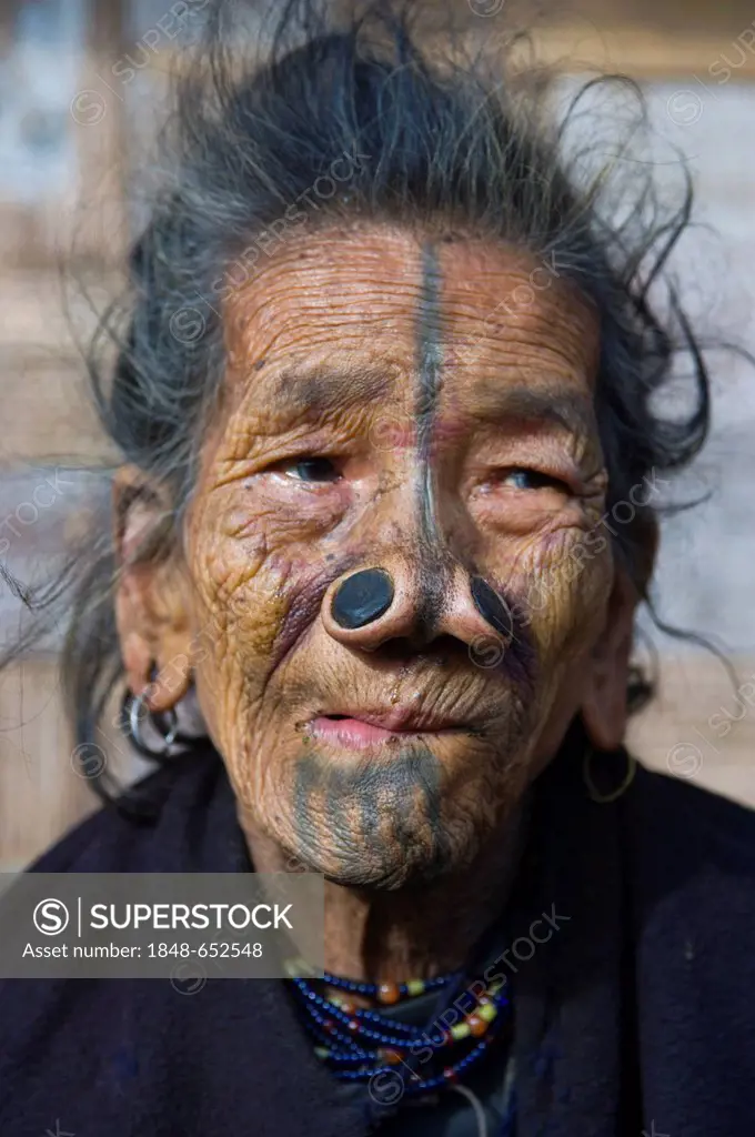 Old woman from the Apatani tribe, known for the pieces of wood in their nose to make them ugly, Ziro, Arunachal Pradesh, northeast India, India, Asia